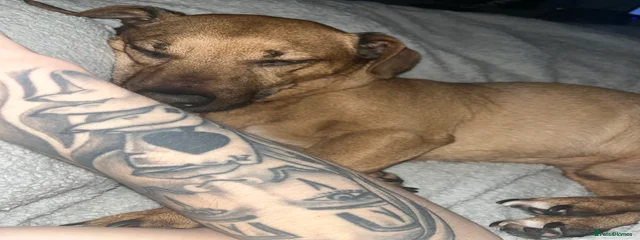 Max