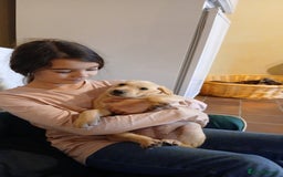 Labrador Retriever dogs for sale: Exceptional FTCHAMPION Labrador Retriever Puppies - Image 6