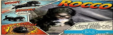 Rocco