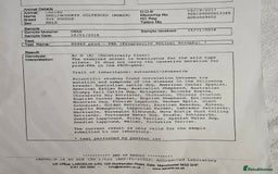 Cavapoo dogs for sale: F1bb extensively health tested caverpoo pups  - Advert 13