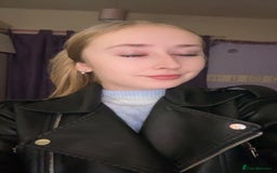 Birman cats for sale: Kittens  - Advert 1