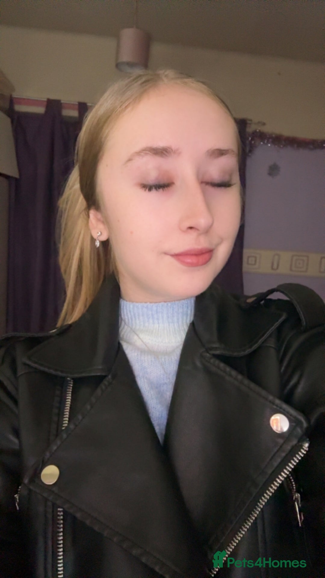 Birman cats for sale: Kittens  - Advert 1