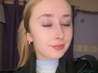 Birman cats Kittens - Advert 1