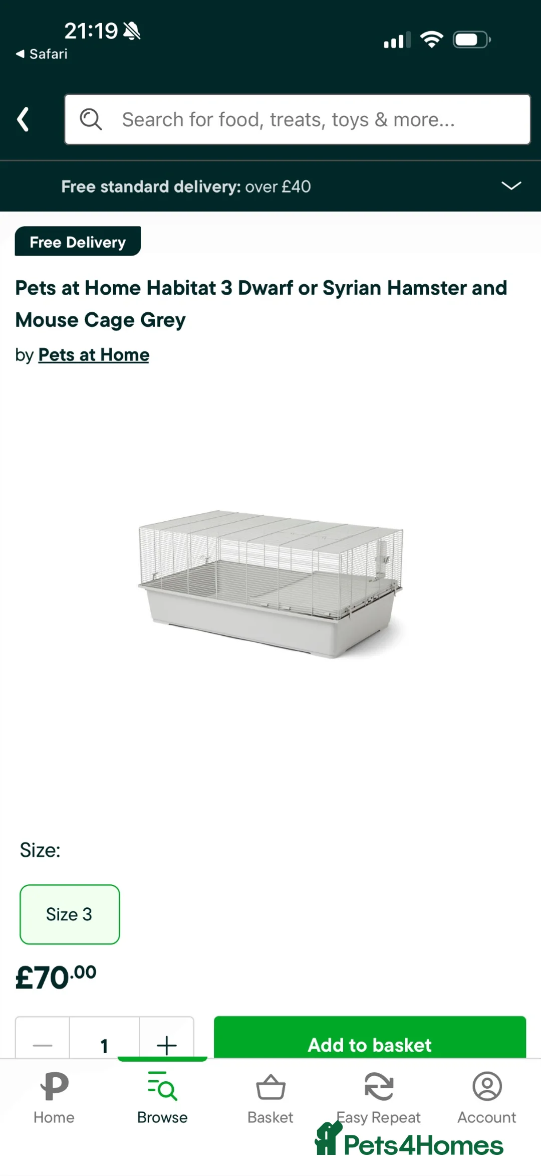 Hamster rodents for sale: Long haired Syrian hamster in Bexleyheath - Advert 2