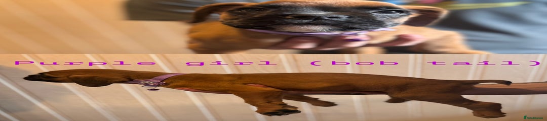 Purple girl 