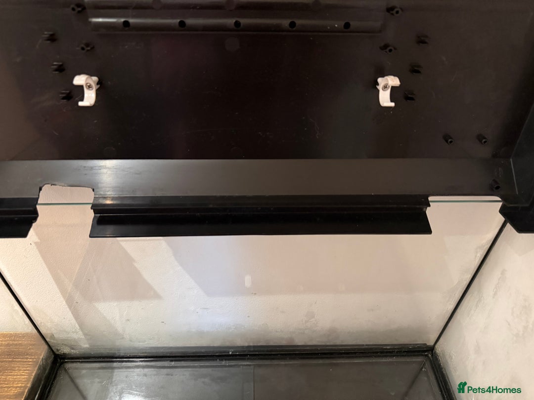 Turtle reptiles for sale: Juwel 60L Aquarium Tank & Cabinet only - Advert 4