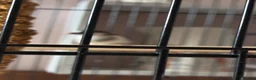 Finches birds for sale: Bengali’s finches x 3 in Blackpool - Advert 5