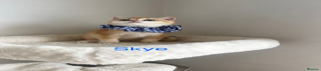 Skye