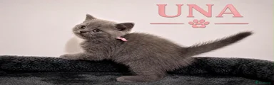 Una 