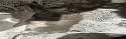 Maine Coon cats for sale: TICA-Registered Silver Maine Coon Kittens - Advert 20