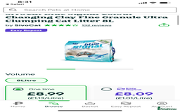 Ragdoll cats for sale: Lovely Ragdoll looking for lovely family - Advert 19