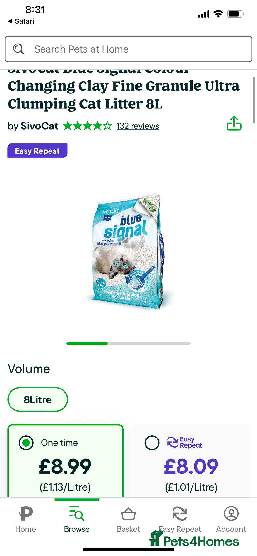 Ragdoll cats for sale: Lovely Ragdoll looking for lovely family - Advert 19