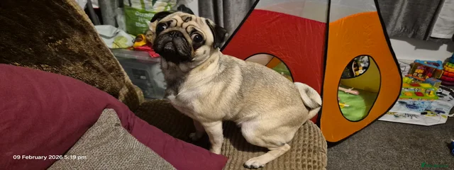 Luna