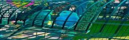 Budgerigars birds for sale: Two male budgies for sale 12 weeks old  in Liverpool - Advert 1