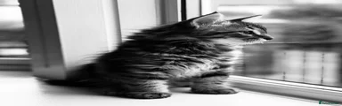 Siberian 2