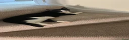Mixed Breed cats for sale: 2 sister cats lilo and boots  - Advert 6