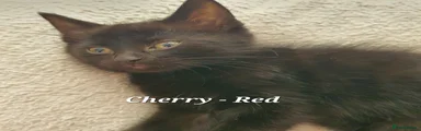 Cherry