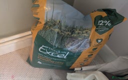 Guinea Pig rodents for sale: 2 male guinea pigs and cage + run+ accessories - Image 6