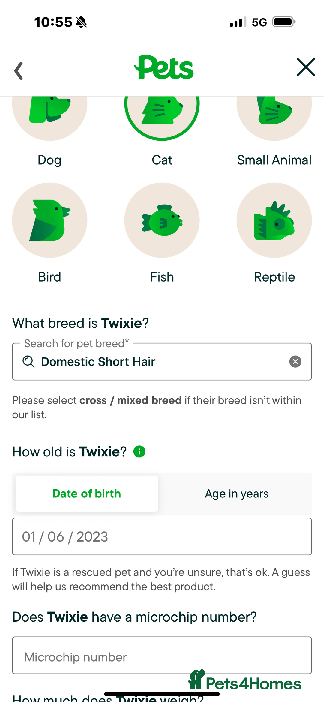Domestic Shorthair cats for sale: Heartbreakingly a marriage breakup forces rehome - Image 33