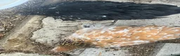 Mixed Breed livestock for sale: Point of lay Pekin hens for sale - read full first - Advert 7
