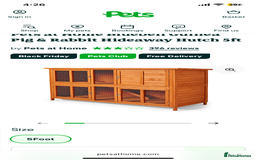 Guinea Pig rodents for sale: Teddy guinea pigs males - Advert 6