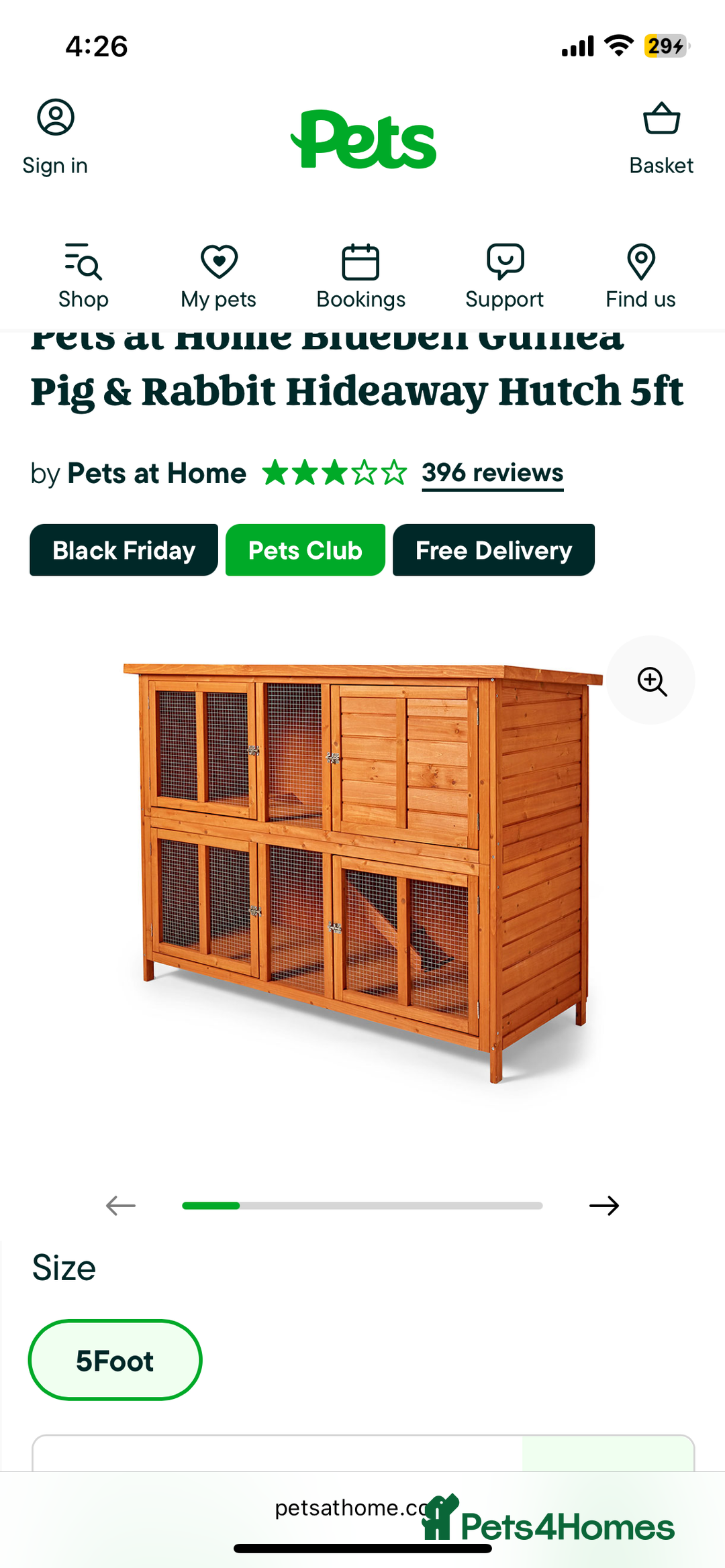 Guinea Pig rodents for sale: Teddy guinea pigs males - Advert 6