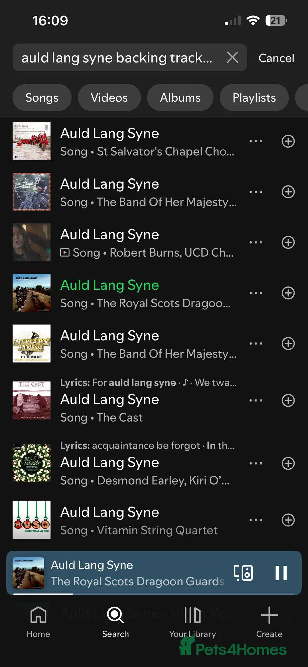 British Shorthair cats for sale: 3 adorable male kittens for sale - Advert 4