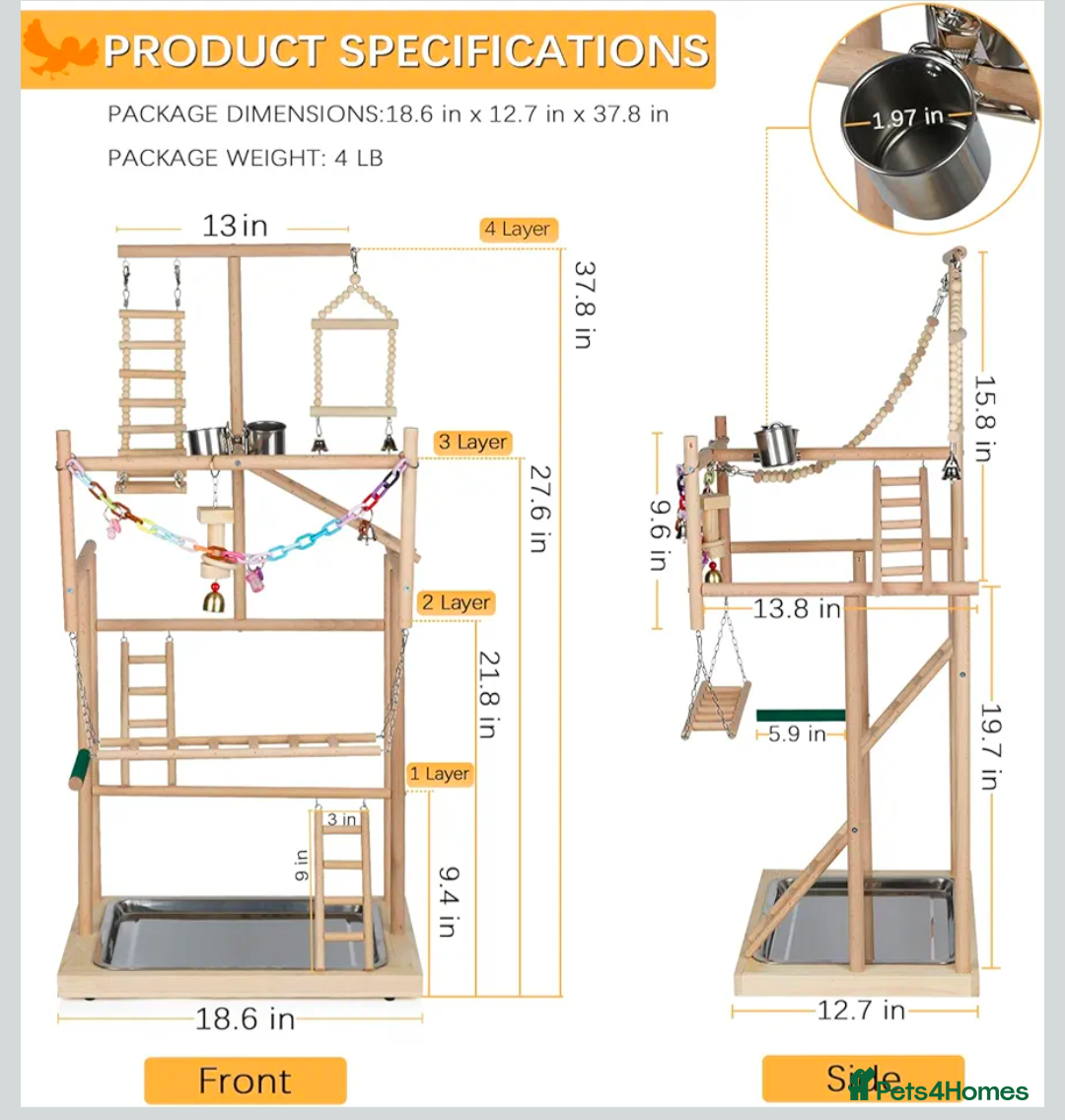 Cockatiels birds for sale: Two hand reared cockatiels  - Advert 3