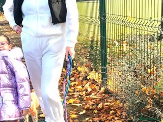 Shih Tzu dogs Shih tzu pups - Advert 15