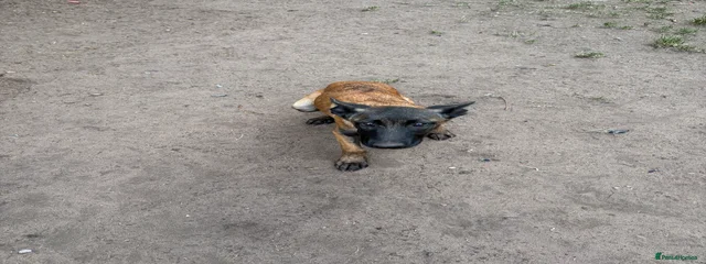 karma