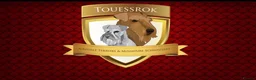 Airedale Terrier dogs for sale: ADORABLE AIREDALE PUPS FROM 5 ⭐️ LICENSED BREEDER - Advert 6