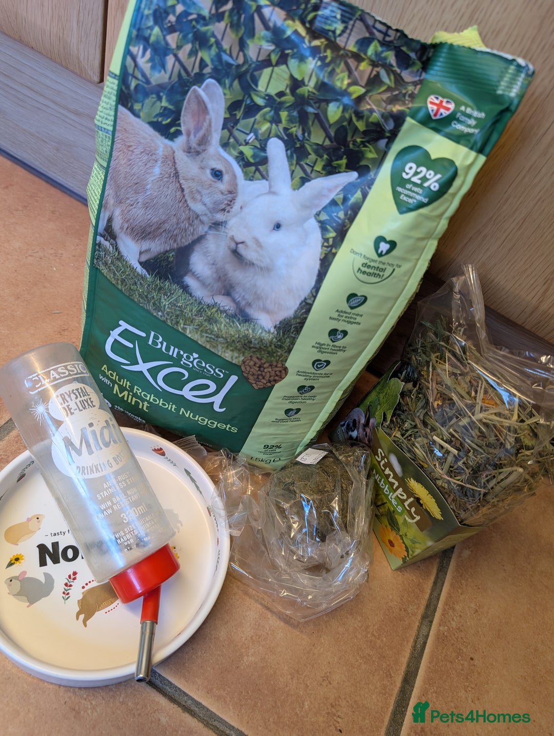 Mini Lop rabbits for sale: Rabbits for sale with everything  - Advert 9