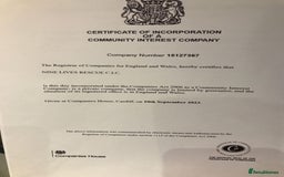 Mixed Breed cats for adoption: SUSHI GIRL MIX PERSIAN PERFECT HEALTH AFFECTIONAT - Image 5