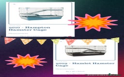 Rat rodents for sale: Baby dwarf rats  - Image 15