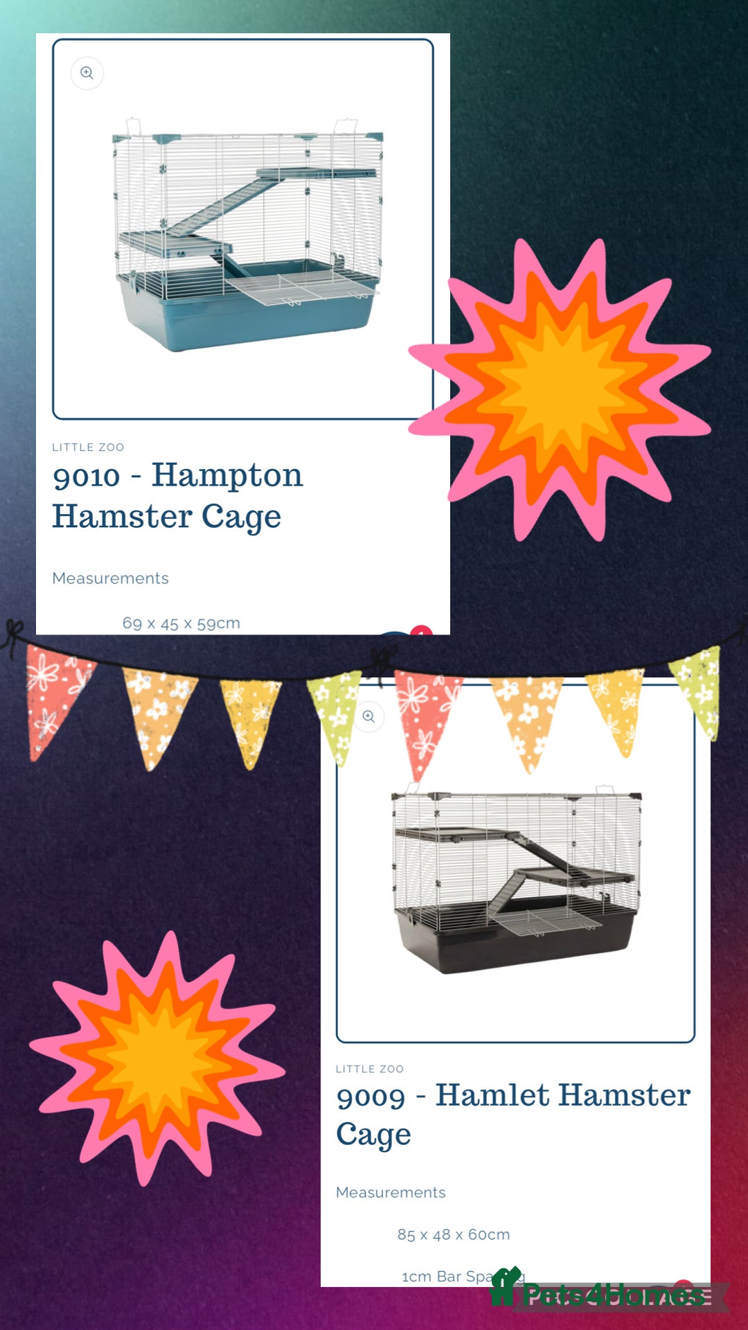 Rat rodents for sale: Baby dwarf rats  - Image 15