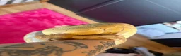 Python Snake reptiles for sale: Banana Royal Python will full set up - Advert 6