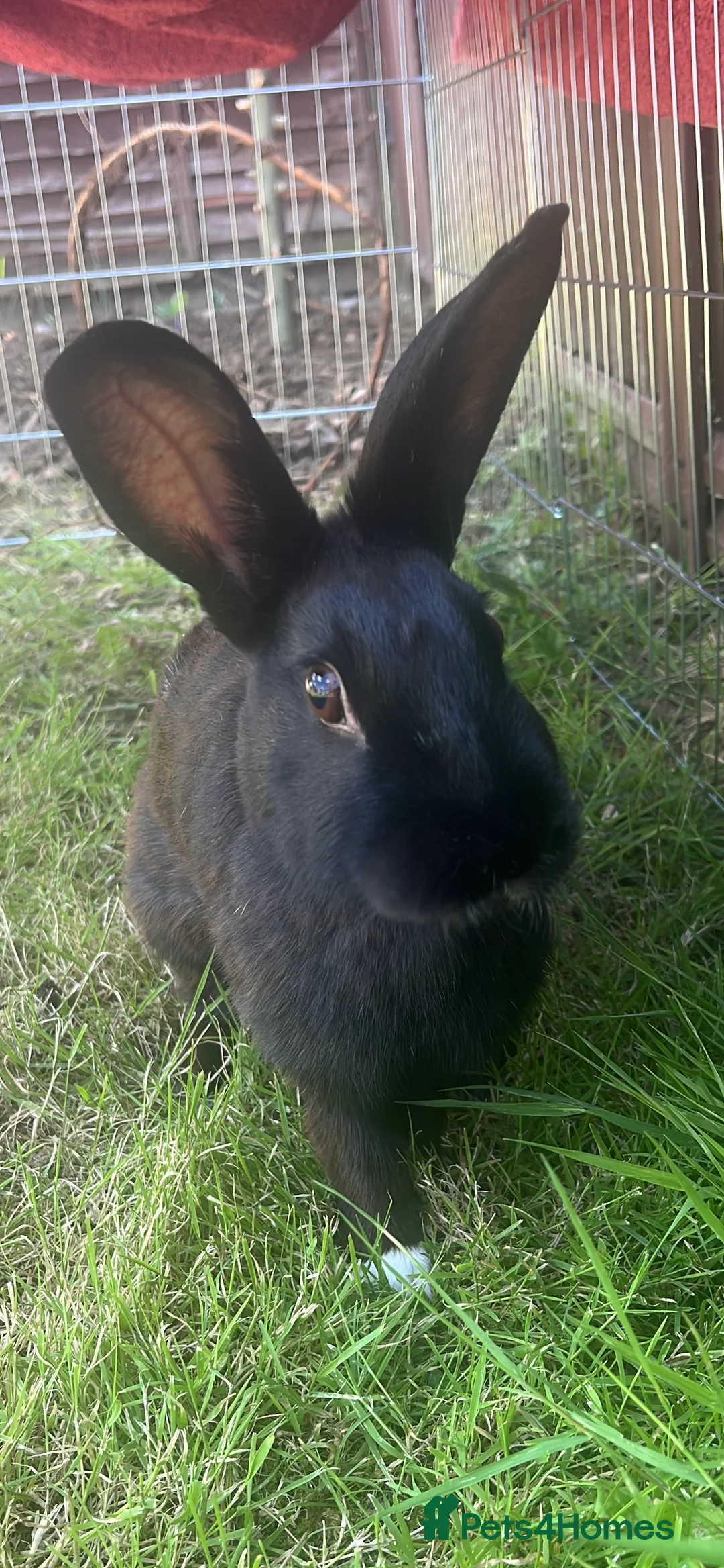 Gallery Image {{count}}