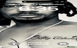 American Bulldog dogs for stud: Classic American bull 🇺🇸  - Image 33