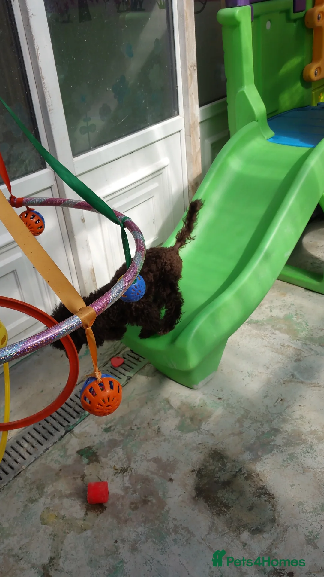 Gallery Image {{count}}