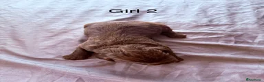 GIRL 2
