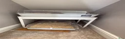 Hamster rodents for sale: Two male hamsters in Sheffield - Advert 4
