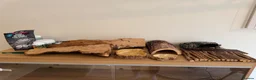 Bearded Dragon reptiles for sale: Vivarium for sale  in London - Advert 5