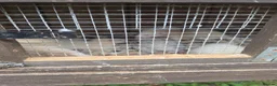 Ferret rodents for sale: Ferrets  in Lincoln - Advert 5