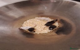 Mouse rodents for sale: Fancy pet mice for sale £8 each  - Image 1