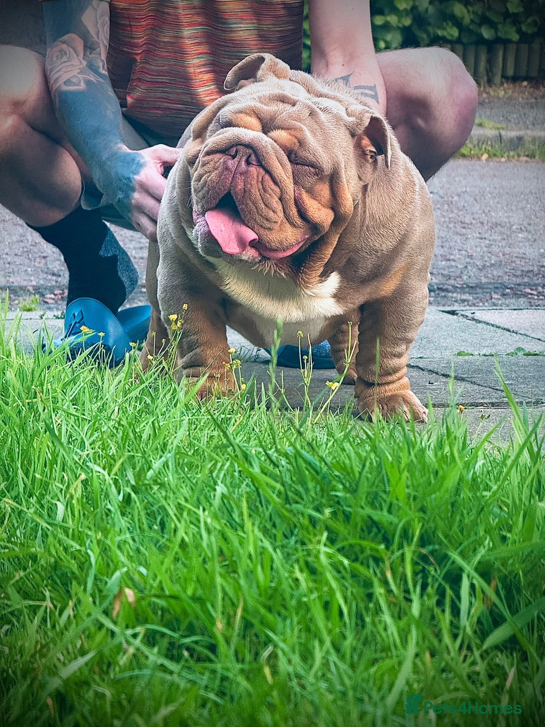 Gallery Image {{count}}