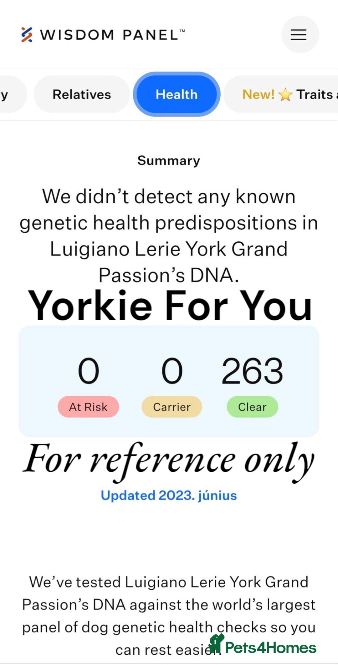 Yorkshire Terrier dogs for sale: 🧡 DNA tested parents 🧡 Dark Red Sable female - Image 7