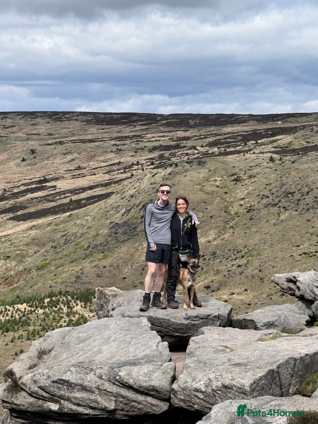 Gallery Image {{count}}