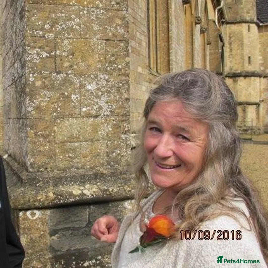 Gallery Image {{count}}