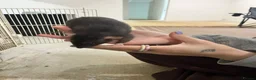 Rat rodents for sale: Pair female adult rats - free to good home - Advert 9
