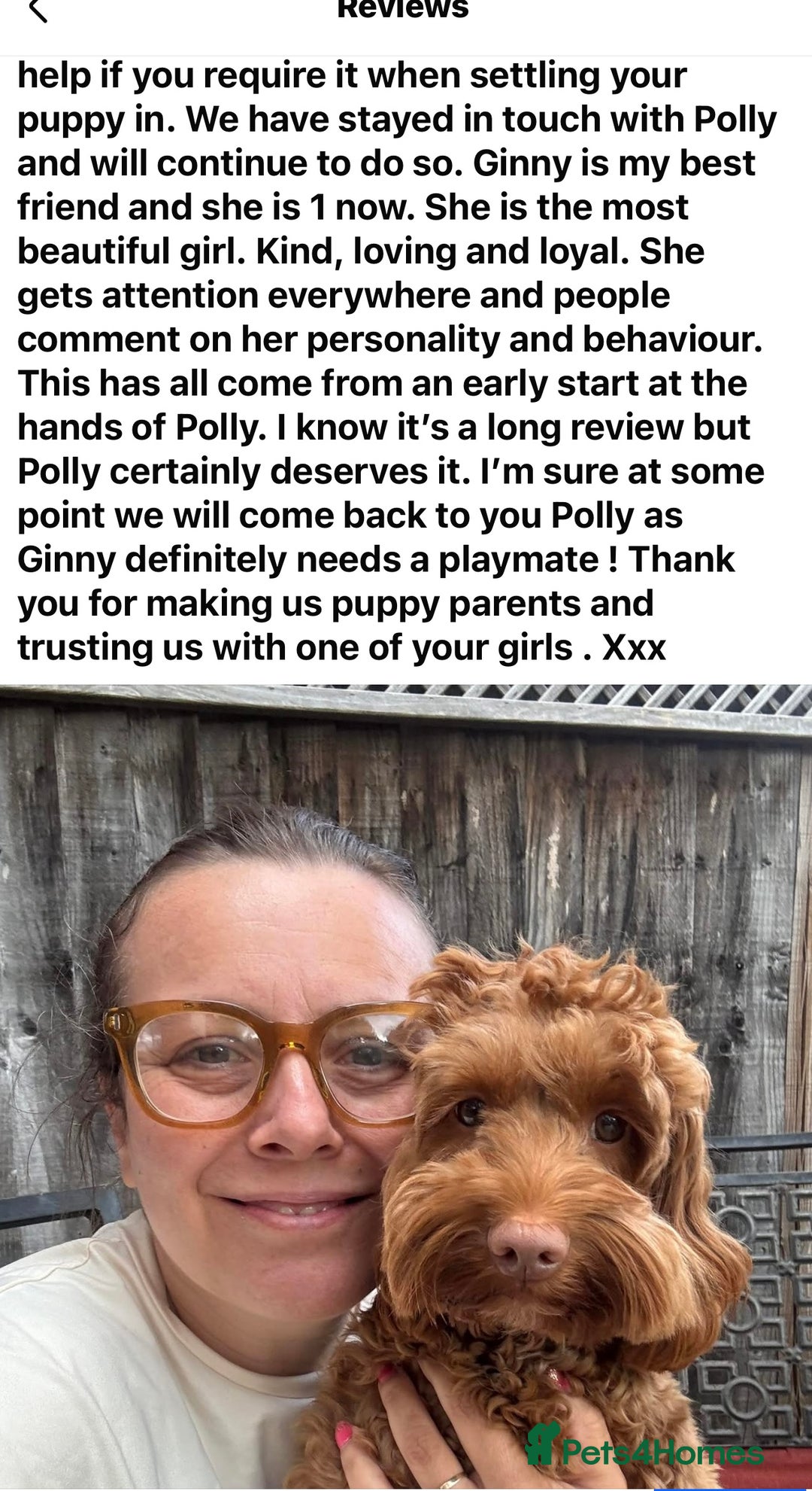 Cockapoo dogs for sale: F1 COCKAPOO PUPPIES 5🌟 LICENSED BREEDER  - Image 19